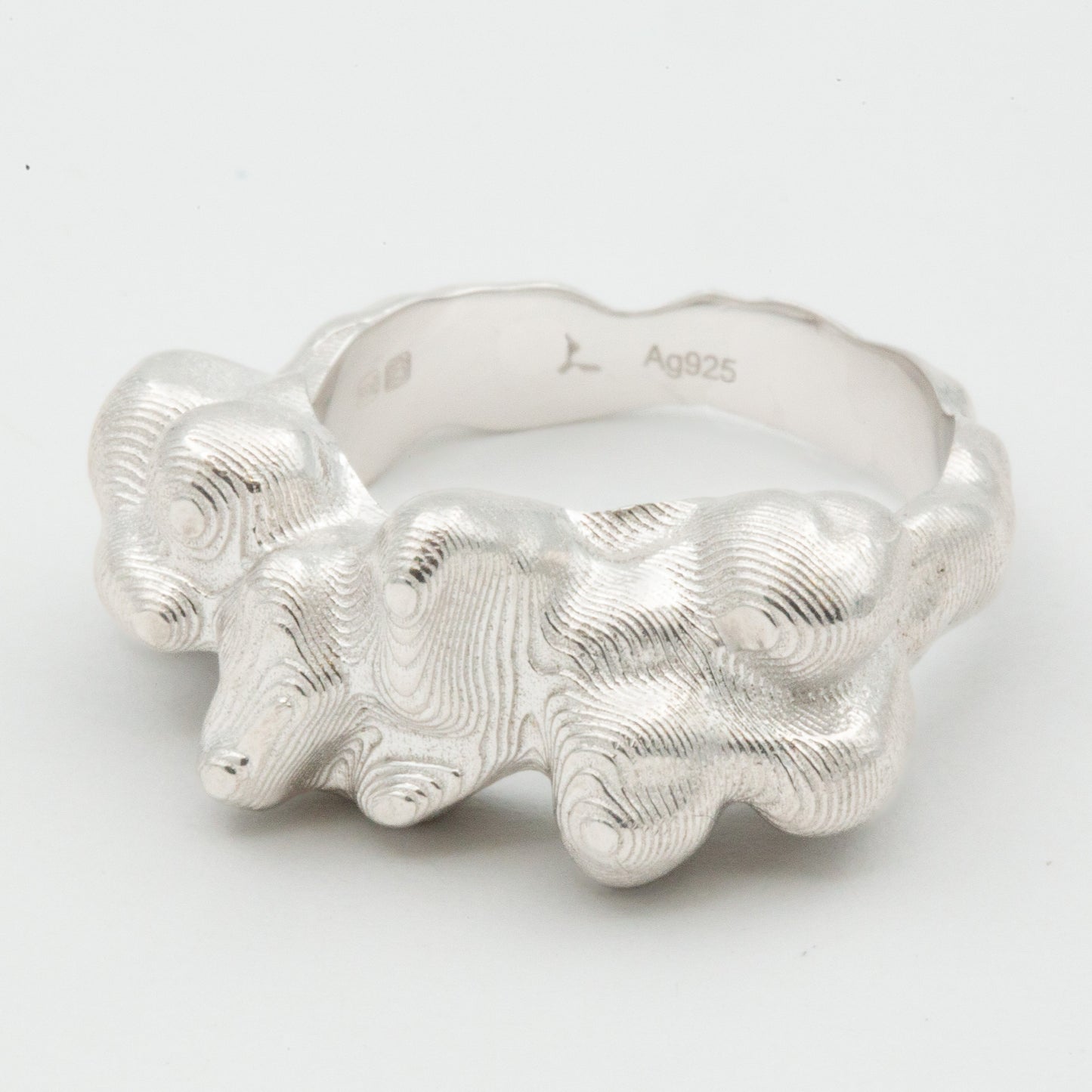 RING r02